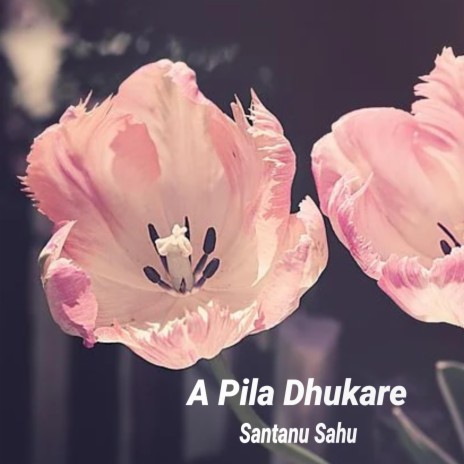 A Pila Dhukare | Boomplay Music