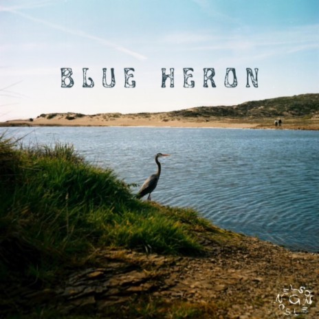 Blue Heron | Boomplay Music