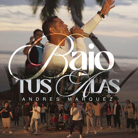 Bajo tus alas | Boomplay Music