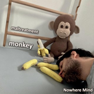 Monkey lyrics | Boomplay Music