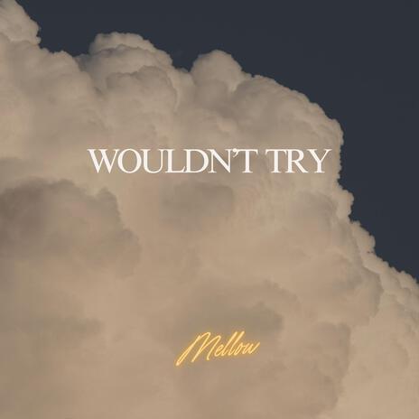 Wouldn't Try | Boomplay Music