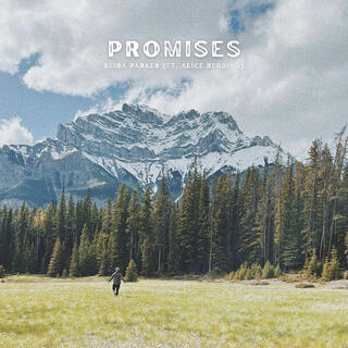 Promises ft. Alice Redding lyrics | Boomplay Music