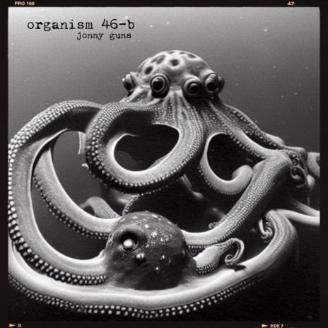 Organism 46-b