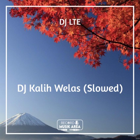 DJ Kalih Welas (Slowed) ft. DJ Kapten Cantik, Adit Sparky, Dj TikTok Viral, TikTok FYP & Tik Tok Remixes
