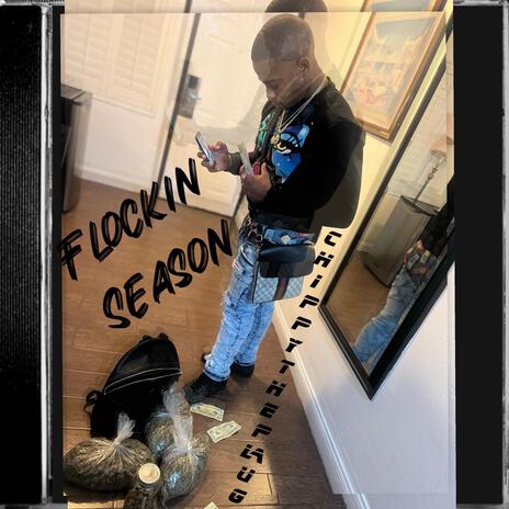 Flocking season | Boomplay Music