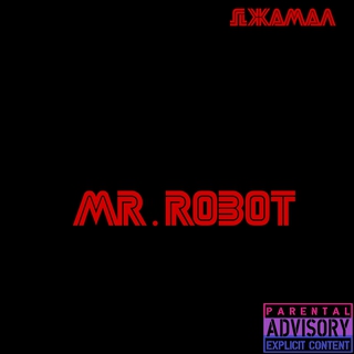 Mr.robot