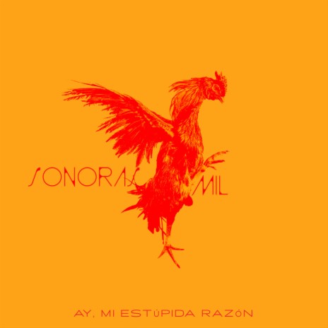 Ay, Mi Estúpida Razón | Boomplay Music