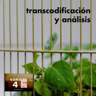 Transcodificación y análisis