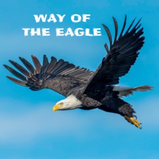 Way of the Eagle