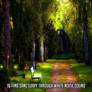 16 Find Sanctuary Through White Noise Sound