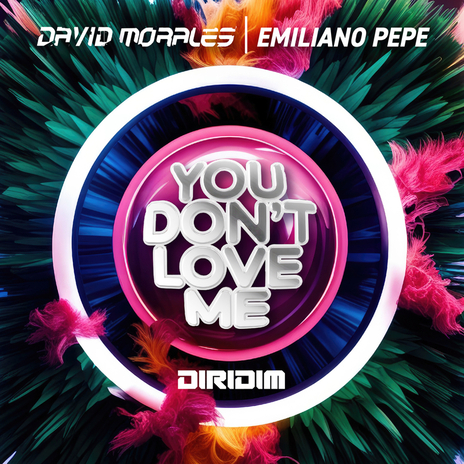 YOU DON'T LOVE ME ft. Emiliano Pepe | Boomplay Music