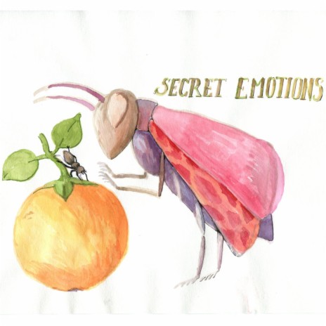 Secret emotions (Bug 3logy)