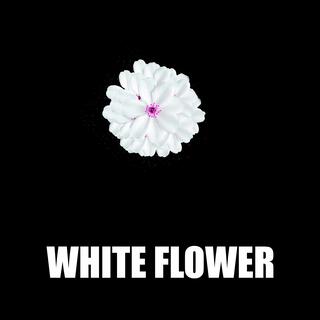 White Flower