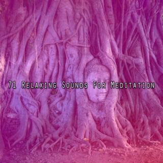 71 Relaxing Sounds For Meditation