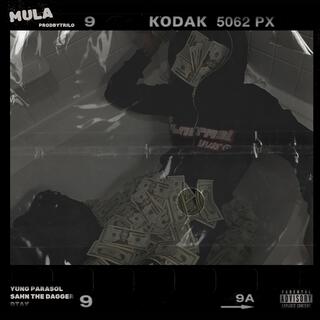 MULA