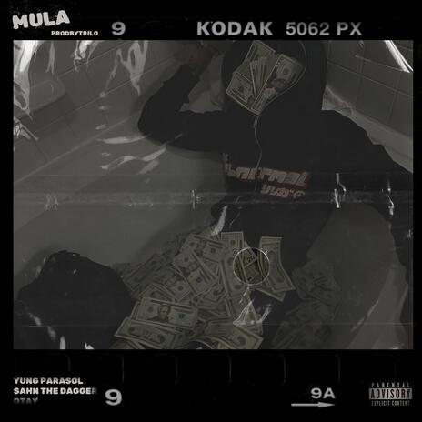 Mula (Slowed Down) ft. Yung Parasol, Sahn Tha Dragger & Dtay!