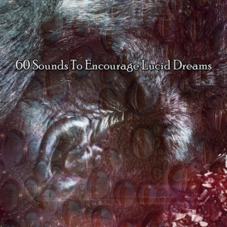 60 Sounds To Encourage Lucid Dreams