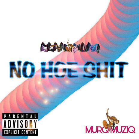 NO HOE SHIT | Boomplay Music