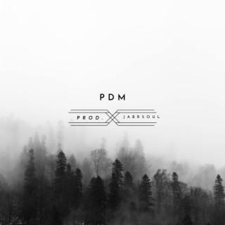 PDM