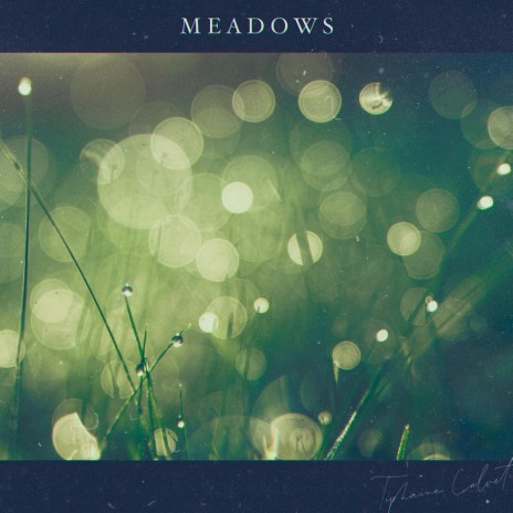 Meadows | Boomplay Music