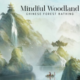 Mindful Woodland: Forest Bathing Meditation with Chinese Music for Total Relaxation, Meditation, Health & Vitality, and Mental Clarity