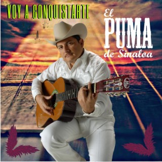 Voy A Conquistarte lyrics | Boomplay Music