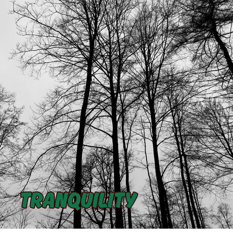 Track of Tranquility | Boomplay Music