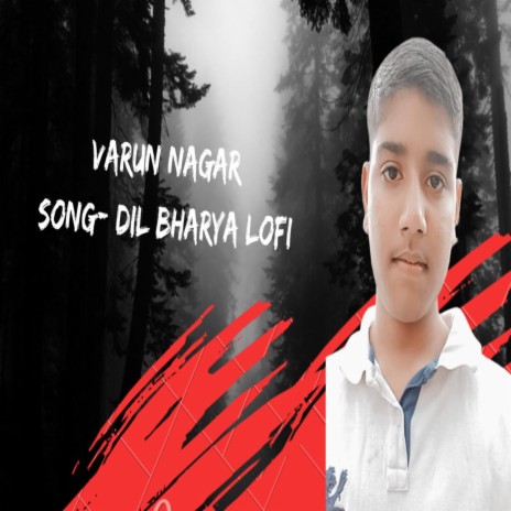 DIL BHARYA LOFI | Boomplay Music