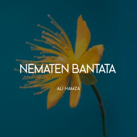 Nematen Bantata | Boomplay Music