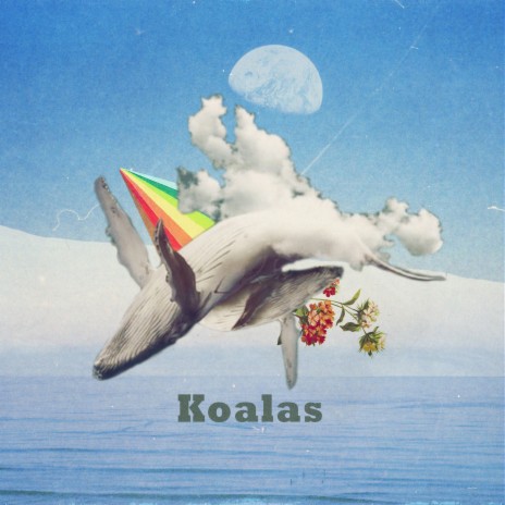 Koalas | Boomplay Music