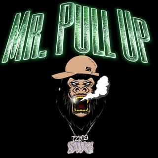 Mr Pull Up