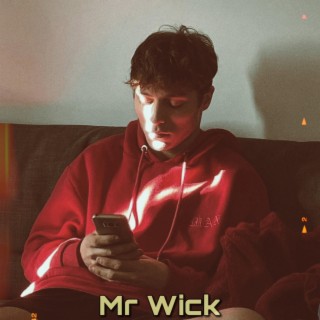 Mr Wick