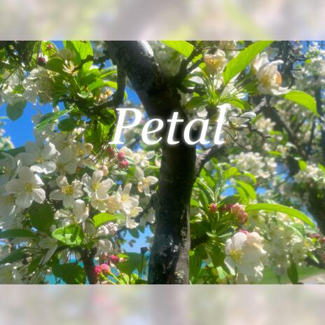 Petal ft. Universe Man | Boomplay Music