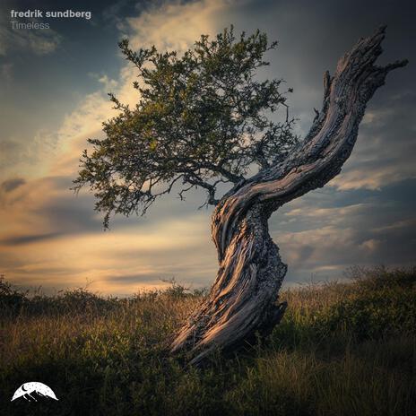 Unfolding Changes | Boomplay Music