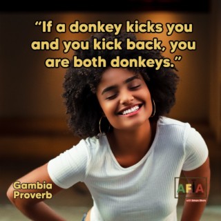 If A Donkey Kicks You And You Kick Back, You Are Both Donkeys | African Proverbs | AFIAPodcast