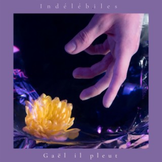 Indélébiles lyrics | Boomplay Music