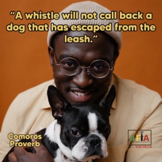 A Whistle Will Not Call Back A Dog That Has Escaped From The Leash | AFIAPodcast