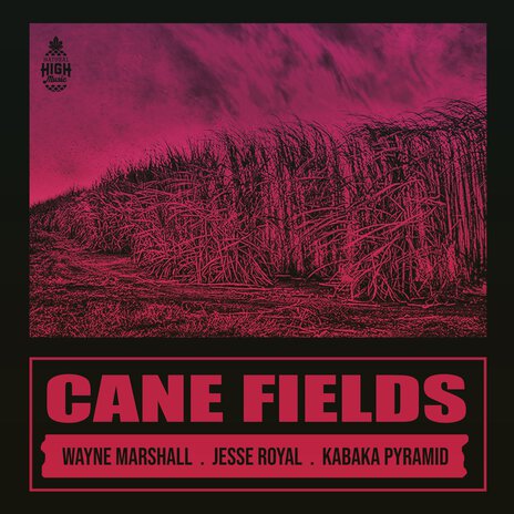 Cane Fields ft. Wayne Marshall, Jesse Royal & Kabaka Pyramid | Boomplay Music