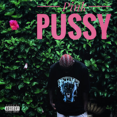 Pinky Pussy | Boomplay Music