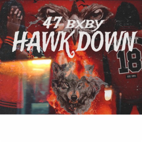 Hawk down | Boomplay Music