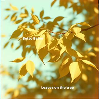 Leaves on the tree