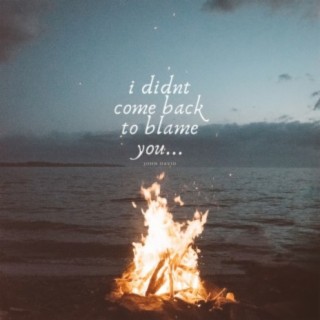 I Didn't Come Back To Blame You...