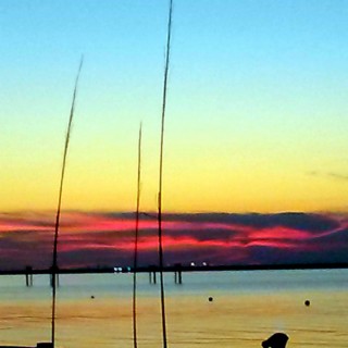 Wharves at Dawn