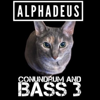 Conundrum and Bass 3