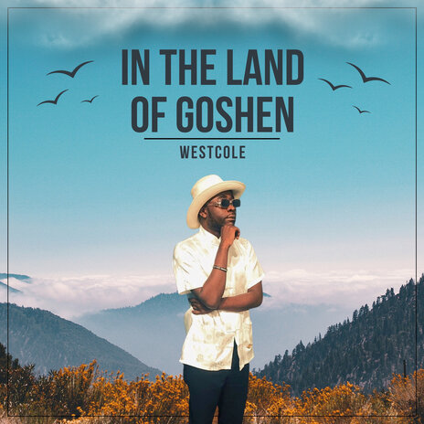 In the Land of Goshen | Boomplay Music