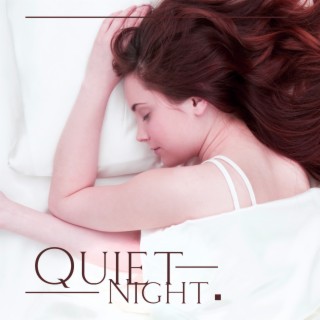 Quiet Night: Soothing Sleep Music, Fall Asleep Fast, Stop Irregular Sleep Paterns