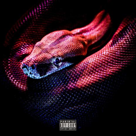 Pythons | Boomplay Music