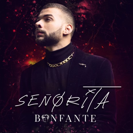 Señorita | Boomplay Music