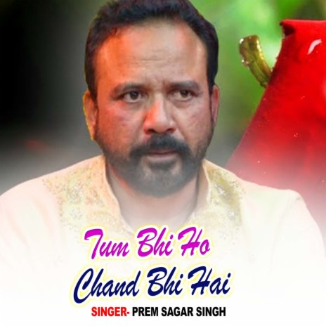 Tum Bhi Ho Chand Bhi Hai | Boomplay Music