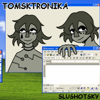 TOMSKTRONIKA (Love Trash)